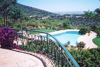 The garden and pool