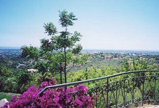 View from the villa of the surrounding area