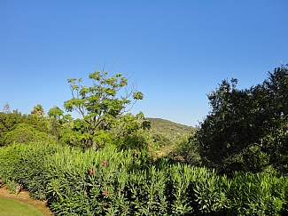 country view to the side of the villa