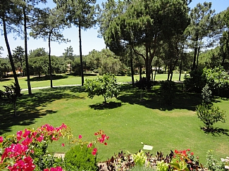 view to the golf course from the villa