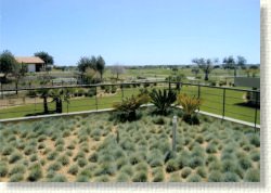 View from 1st floor terrace